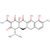 5874-95-3 9-Didemethyl Minocycline chemical structure
