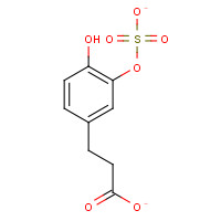 1187945-70-5 Dihydro Caffeic Acid 3-O-Sulfate Sodium Salt chemical structure