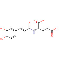 860295-23-4 N-[3',4'-Dihydroxy-(E)-cinnamoyl]-L-glutamic Acid chemical structure
