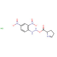 108321-37-5 (2,4-Dinitrophenyl)hydrazine 3,4-Dihydro-2H-pyrrole-2-carboxylate Hydrochloride chemical structure