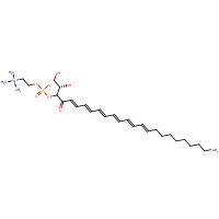 159407-32-6 2-Docosahexaenoyl-sn-glycero-3-phosphocholine chemical structure