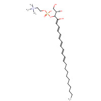 162440-05-3 1-Docosahexaenoyl-sn-glycero-3-phosphocholine chemical structure