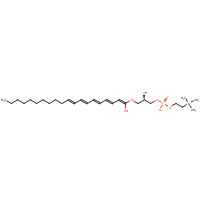 162440-04-2 1-Eicosapentaenoyl-sn-glycerol-3-phosphocholine chemical structure