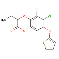 66883-42-9 Ethyl-[4-(thienylketo)-2,3-dichloro-phenoxy]acetate chemical structure