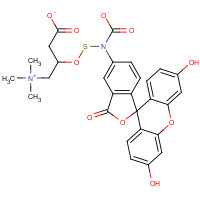 1258239-73-4 N-(5-Fluoresceinyl)-L-carnitine-O-thiocarbamate chemical structure