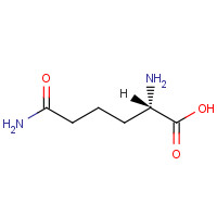 7433-32-1 L-Homoglutamine chemical structure