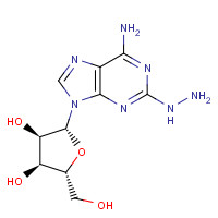 15763-11-8 2-Hydrazino Adenosine chemical structure