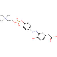 359435-74-8 4-Hydroxy-3-(p-diazophenylphosphorylcholine) Phenylacetic Acid chemical structure