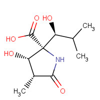 145451-97-4 (3R,4S,5R)-4-Hydroxy-5-[(1S)-1-hydroxy-2-methylpropyl]-3-methyl-2-pyrrolidinone-5-carboxylic Acid chemical structure