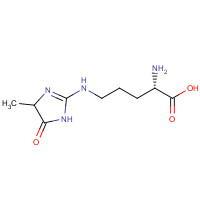 149204-50-2 N5-(5-Hydro-5-methyl-4-imidazolon-2-yl) L-Ornithine chemical structure