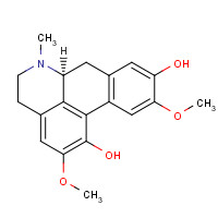 3019-51-0 Isoboldine chemical structure