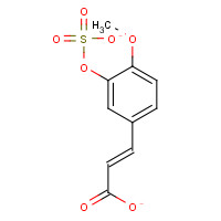 1258842-19-1 Isoferulic Acid 3-O-Sulfate chemical structure