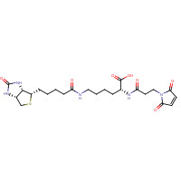 102849-12-7 3-(N-Maleimidylpropionyl)biocytin chemical structure