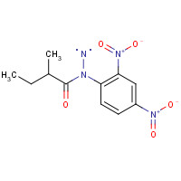 1646-99-7 2-Methylbutanal 2,4-Dinitrophenylhydrazone chemical structure