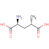6141-27-1 (2S,4S)-4-Methylglutamic Acid chemical structure