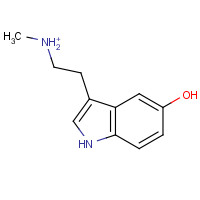 1134-01-6 N-Methyl Serotonin chemical structure