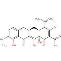 4769-39-5 9-Monodemethyl Minocycline chemical structure