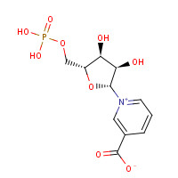 321-02-8 b-Nicotinic Acid Mononucleotide chemical structure