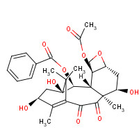 151636-94-1 7-epi-10-Oxo-10-deacetyl Baccatin III chemical structure