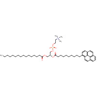 95864-17-8 1-Palmitoyl-2-pyrenedecanoylphosphatidylcholine chemical structure