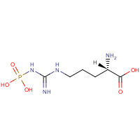 1189-11-3 Phospho-L-arginine Trisodium Salt chemical structure