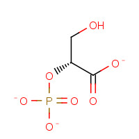 70195-25-4 D-(+)-2-Phosphoglyceric Acid Sodium Hydrate chemical structure
