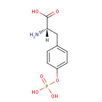 21820-51-9 O-Phospho-L-tyrosine chemical structure