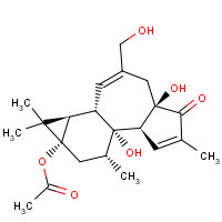 60857-08-1 Prostratin chemical structure