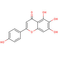 529-53-3 Scutellarein chemical structure