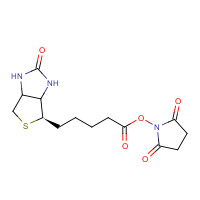35013-72-0 N-Succinimido (+)-Biotin chemical structure