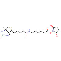 89889-52-1 Succinimidyl-6-[6-(biotinamido)caproyl]caproylate chemical structure
