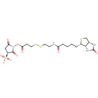 325143-98-4 Sulfosuccinimidyl 3-[[2-(Biotinamido)ethyl] dithio]propionate Sodium Salt chemical structure