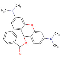 122363-35-3 2-[(5(6)-Tetramethylrhodamine]carboxylic Acid N-Hydroxysuccinimide Ester chemical structure