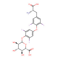 21462-56-6 Thyroxine 4'-O-b-D-Glucuronide chemical structure
