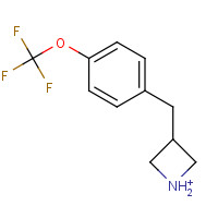 937621-11-9 3-[[(4-Trifluoromethoxy)phenyl]methyl]azetidine chemical structure