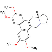 482-20-2 (+)-(S)-Tylophorine chemical structure