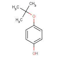 2460-87-9 4-(tert-Butoxy)phenol chemical structure