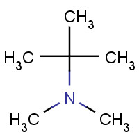 918-02-5 N,N-Dimethyl-tert-butylamine chemical structure