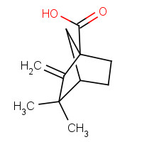 10309-20-3 3,3-Dimethyl-2-methylene-bicyclo[2.2.1]-heptane-1-carboxylic acid chemical structure