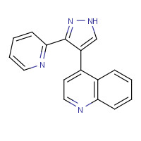 396129-53-6 4-(3-Pyridin-2-yl-1H-pyrazol-4-yl)quinoline chemical structure