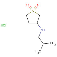 247109-25-7 (1,1-Dioxo-tetrahydro-1lambda*6*-thiophen-3-yl)-isobutyl-amine hydrochloride chemical structure