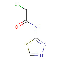 4454-63-1 2-Chloro-N-[1,3,4]thiadiazol-2-yl-acetamide chemical structure