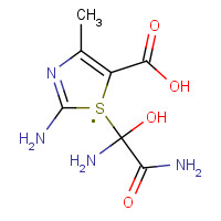 21709-40-0 2-Amino-4-methyl-thiazole-5-carboxylic acid dimethylamide chemical structure