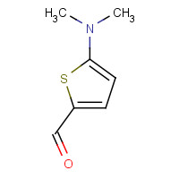 24372-46-1 5-Dimethylamino-thiophene-2-carbaldehyde chemical structure