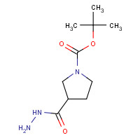411238-88-5 3-Hydrazinocarbonyl-pyrrolidine-1-carboxylic acid tert-butyl ester chemical structure