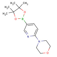 485799-04-0 4-[5-(4,4,5,5-Tetramethyl-[1,3,2]dioxaborolan-2-yl-pyridin-2-yl]-morpholine chemical structure