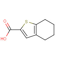40133-07-1 4,5,6,7-Tetrahydro-benzo[b]thiophene-2-carboxylic acid chemical structure