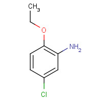 15793-48-3 5-Chloro-2-ethoxy-phenylamine chemical structure