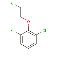 53491-29-5 1,3-Dichloro-2-(2-chloro-ethoxy)-benzene chemical structure
