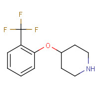 824390-04-7 4-[2-(Trifluoromethyl)phenoxy]piperidine chemical structure